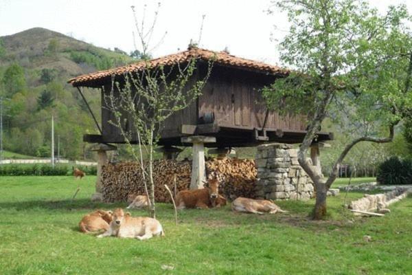 Hotel Rural Sucuevas (Adults Only) Llano-Con 외부 사진